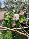     
: 20200417_101053.jpg
: 12
:	101.1 
ID:	13331633
