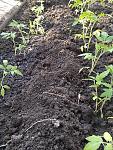     
: IMG_20200418_173407.jpg
: 11
:	265.5 
ID:	13332228