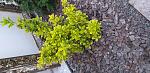     
: 20200417_194630.jpg
: 23
:	166.8 
ID:	13332437