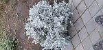     
: 20200417_192902.jpg
: 22
:	194.0 
ID:	13332438