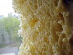     
: !IMG_0029.jpg
: 30
:	280.4 
ID:	13332501