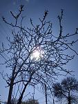     
: IMG_20200420_160446.jpg
: 31
:	174.7 
ID:	13332768