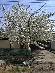     
: IMG_20200420_132033.jpg
: 26
:	215.3 
ID:	13332769