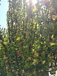    
: IMG_20200420_132755.jpg
: 29
:	125.5 
ID:	13332770