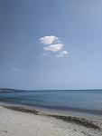     
: IMG_20200420_140250.jpg
: 24
:	52.4 
ID:	13332773