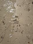     
: IMG_20200420_150013.jpg
: 20
:	195.0 
ID:	13332775