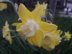     
: 20200419_193947.jpg
: 15
:	69.2 
ID:	13333110