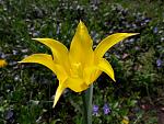     
: 20200419_111110.jpg
: 15
:	119.1 
ID:	13333112