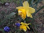     
: 20200418_132338.jpg
: 11
:	166.7 
ID:	13333113