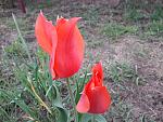     
: 20200418_132232.jpg
: 10
:	139.0 
ID:	13333118