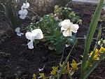     
: 20200419_184232.jpg
: 13
:	149.8 
ID:	13333120