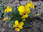     
: 20200418_132325.jpg
: 12
:	114.5 
ID:	13333122
