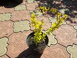     
: 20200423_151610.jpg
: 8
:	252.9 
ID:	13334188