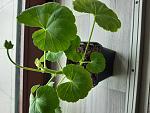     
: 20200421_114704.jpg
: 6
:	141.6 
ID:	13334473