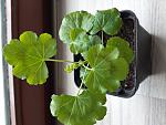     
: 20200421_121000.jpg
: 11
:	121.8 
ID:	13334478