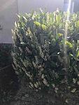     
: IMG_7512.jpg
: 16
:	123.9 
ID:	13334864
