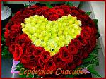     
: 1547282948_2.jpg
: 20
:	97.2 
ID:	13335016