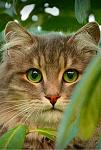     
: 20200428_104646.jpg
: 9
:	99.8 
ID:	13335849