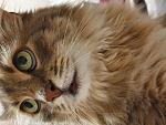     
: 20200220_222941.jpg
: 7
:	152.9 
ID:	13335850