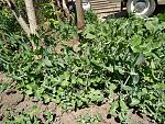     
: IMG_20200428_134346.jpg
: 8
:	311.5 
ID:	13335968