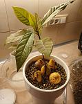     
: 20200428_215147.jpg
: 7
:	98.3 
ID:	13336246