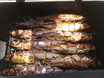     
: IMG_20200429_133907.jpg
: 37
:	208.7 
ID:	13336468