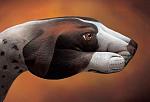     
: hand_art_013.jpg
: 23
:	37.9 
ID:	1333661