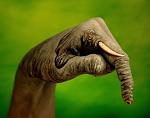     
: hand_art_008.jpg
: 19
:	31.7 
ID:	1333668