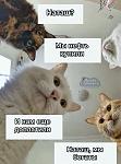     
: 13682496_original[1].jpg
: 15
:	73.9 
ID:	13336702