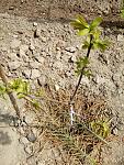     
: IMG_20200430_114448.jpg
: 180
:	268.3 
ID:	13336792