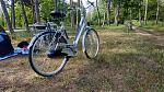     
: IMG_20200501_165558.jpg
: 13
:	301.7 
ID:	13337697