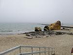     
: IMG_20200502_091634.jpg
: 29
:	136.5 
ID:	13337898