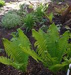     
: 20180425_210141.jpg
: 43
:	270.4 
ID:	13338778