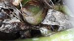     
: 20200503_121708.jpg
: 36
:	260.8 
ID:	13338891