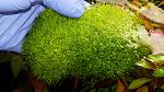     
: 20200425_204328.jpg
: 18
:	204.1 
ID:	13339311