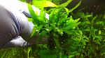     
: 20200425_222235.jpg
: 15
:	106.2 
ID:	13339313