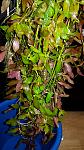     
: 20200502_230626.jpg
: 22
:	134.7 
ID:	13339316