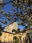     
: IMG_5158 2.jpg
: 40
:	157.9 
ID:	13339562