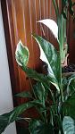    
: 20190804_142431.jpg
: 35
:	77.3 
ID:	13340879