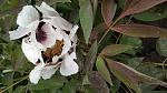     
: IMG_20200507_132519.jpg
: 34
:	123.5 
ID:	13341291