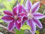     
: 20200508_180542.jpg
: 12
:	161.1 
ID:	13341836