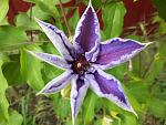    
: 20200508_180250.jpg
: 10
:	125.2 
ID:	13341837