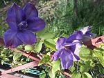     
: 20200508_180203.jpg
: 10
:	161.8 
ID:	13341838