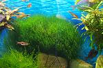     
: DSC_3461_800.jpg
: 9
:	282.5 
ID:	13344149