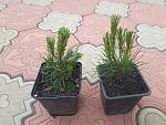     
: 20200514_174811.jpg
: 24
:	197.4 
ID:	13344578