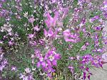     
: IMG_20200515_080907.jpg
: 18
:	303.6 
ID:	13345130