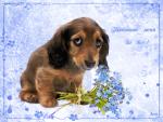     
: 396039860.jpg
: 10
:	59.8 
ID:	13345634