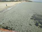     
: IMG_20200517_132331.jpg
: 29
:	194.5 
ID:	13345786