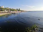     
: IMG_20200522_062221.jpg
: 25
:	148.5 
ID:	13347864