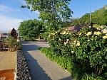     
: IMG_20200522_064901.jpg
: 55
:	301.2 
ID:	13347866